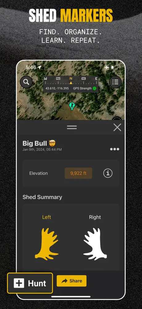 Scout to Hunt statistics dashboard